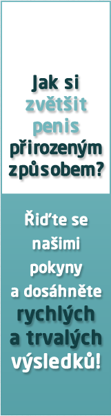 Filmy zdarma pro gay porno